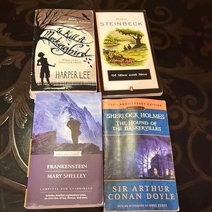 Classic Novels Book Bundle